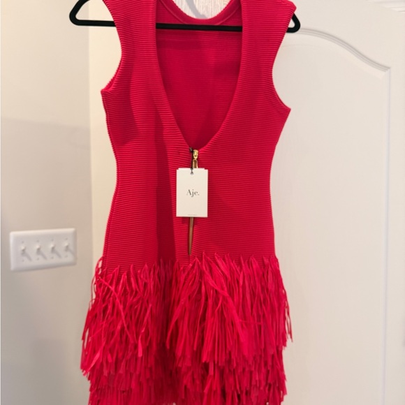 Aje Rushes Raffia Knit Dress . Never Worn - Picture 3 of 5